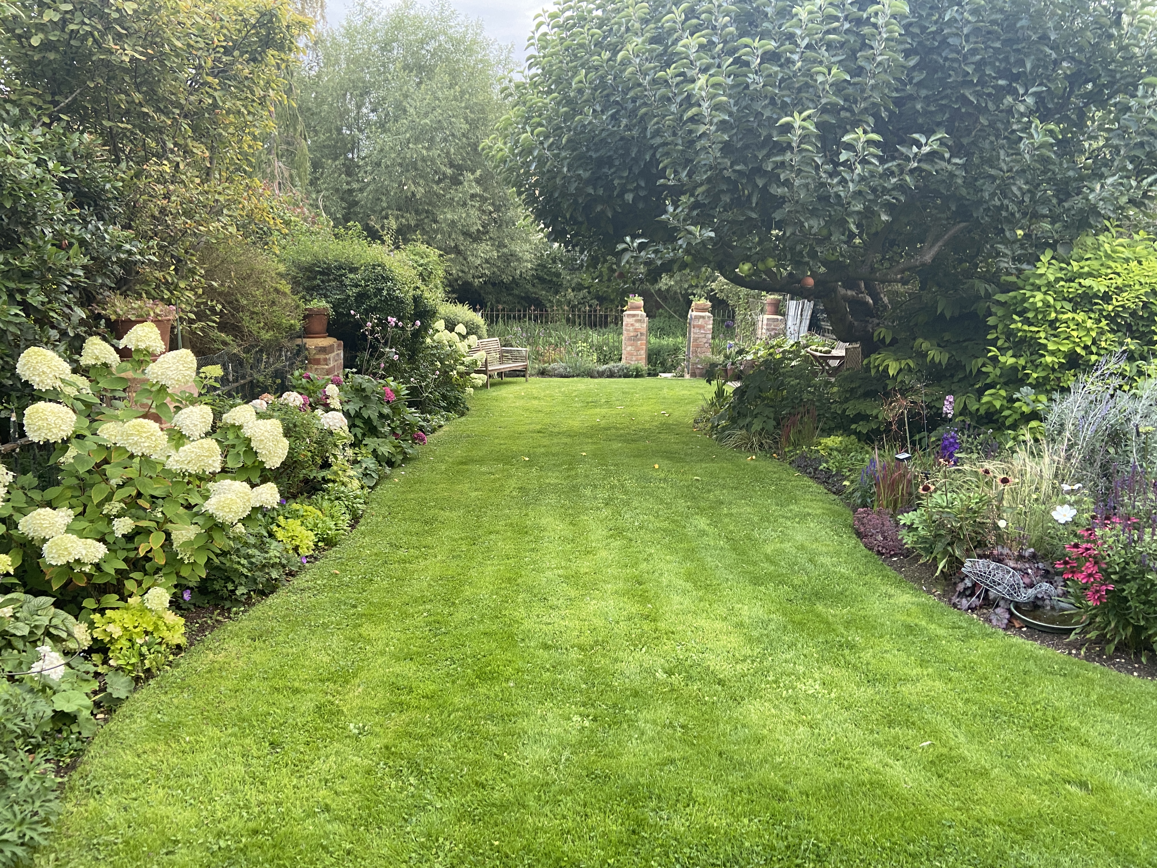 Beautifully maintained Bristol garden with striped lawn and flowering borders